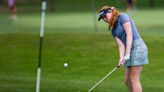 H.S. golf: Delaney Wade is Northern Indiana Conference MVP