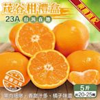 【果農直配】台灣茂谷柑23A禮盒5斤(約20-25顆)