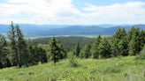 Habitat along Blackfoot River purchased for preservation