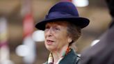 Princess Anne's humorous response to young fan's remark that she 'doesn't look like a princess'