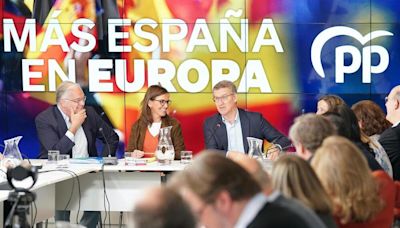 Feijóo apura el plazo para nombrar candidato en europeas