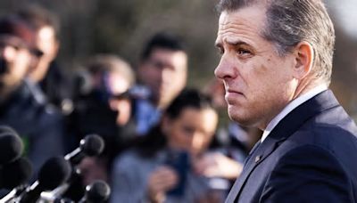 Hunter Biden asks federal appeals court to dismiss his gun charges