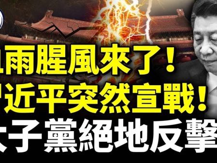 血雨腥風來了！習近平突然宣戰！太子黨絕地反擊！(視頻) - 動向 -