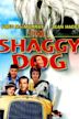 The Shaggy Dog (1959 film)