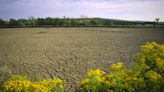 Researchers warn climate change is likely to aggravate brain conditions