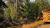 Mill Bay, Malahat firefighters handle brush blaze reported by boater