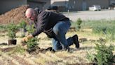 City of Beatrice partners with Neapco to plant trees