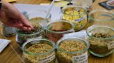 Seed swap offers free learning and networking at Goshen College