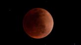 Everything to Know About November's Beaver Blood Moon