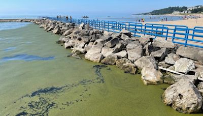 University of Michigan to serve as hub for studying algal blooms on Great Lakes