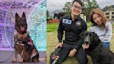 新北4警犬退役吸133人認養 闖5關卡！大學教授成新主人