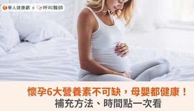 懷孕6大營養素不可缺，母嬰都健康！補充方法、時間點一次看