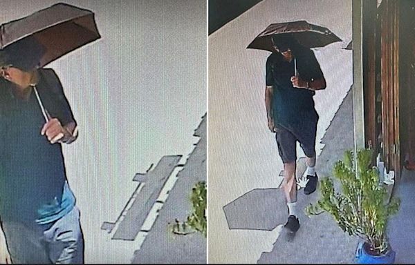 Eerie surveillance photos show missing TV doctor Michael Mosley on day of disappearance