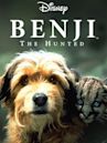 Benji the Hunted