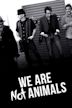 No somos animales