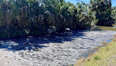 Health alert caused by sewage spill partially lifted in Lake Worth Beach area