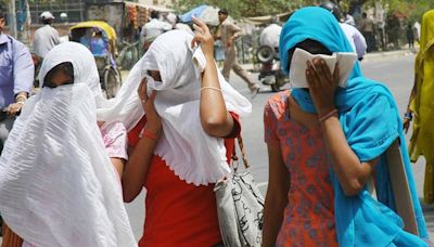 Heat waves need to be declared as disaster, action plans lack financial backing: Report