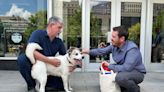 Adorable dog in downtown Dallas window reminds us of the power of pets and neighborly ways