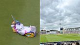 WATCH: Unicorn Balloon Halts Play During England vs West Indies Test at Trent Bridge - News18