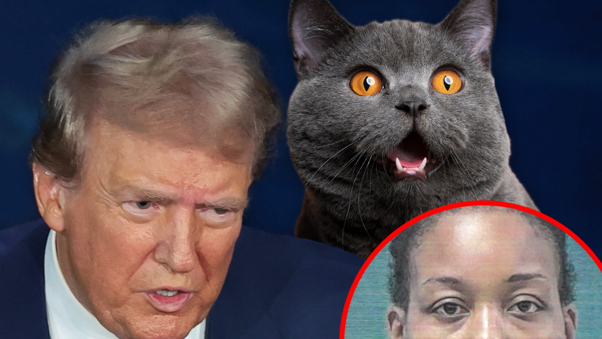 Cat-Eating Suspect Is American with Mental Health Issue, Truth About Trump Claim