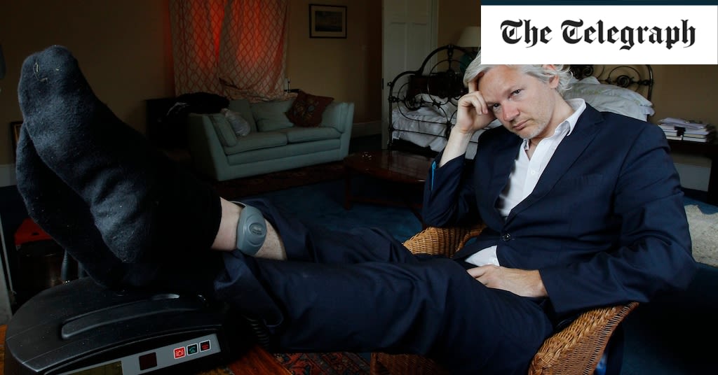 Information activist or bail-skipping narcissist – who is Julian Assange?