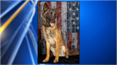 Another police dog dies while trying to help officers arrest a suspect in Richland County