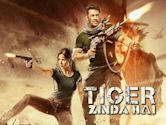 Tiger Zinda Hai