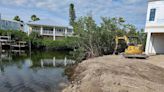 Agencies investigating potential ‘unauthorized’ mangrove removal on Anna Maria Island