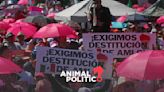 “No nos chupamos el dedo”: AMLO cuestiona independencia de marcha de “marea rosa” ante asistencia de candidatos de oposición