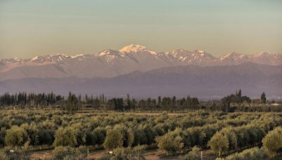 Terra do Malbec, Mendoza, na Argentina, quer agora explorar a mineração; entenda