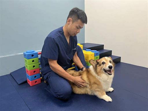 貓犬肥胖危機有礙健康！ 法國皇家呼籲健康餵養、運動雙管齊下 助力貓犬遠離肥胖