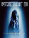 Poltergeist III