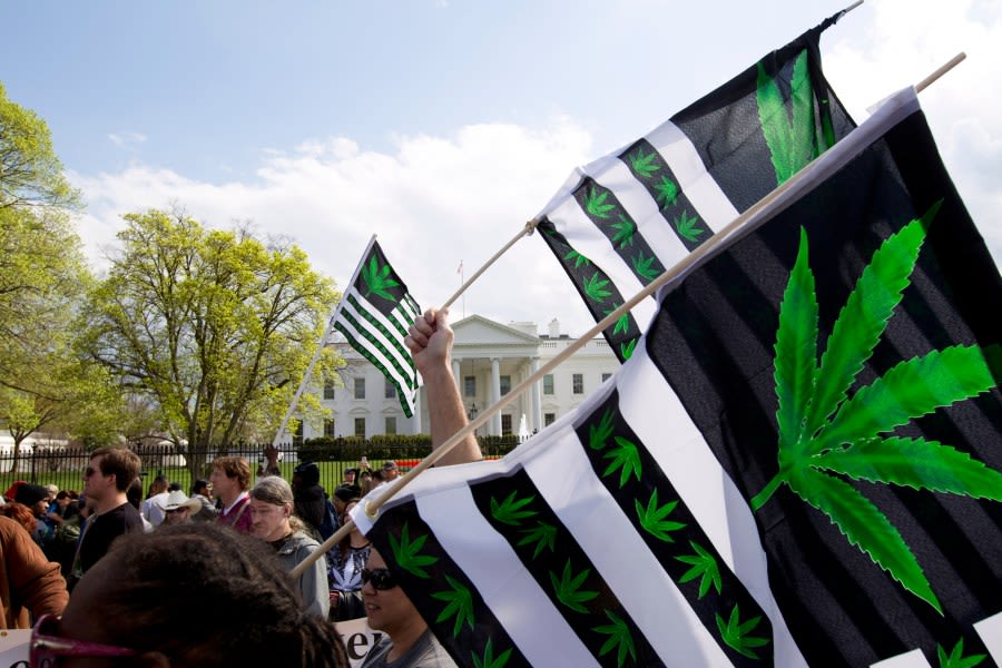 US senators reintroduce bill to decriminalize, deschedule marijuana