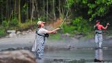 TVA reopens Hibbs Island, a popular fishing spot