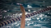 Northwest Jersey Athletic Conference swimming postseason honors