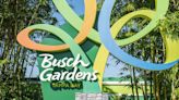 Busch Gardens slashes ticket prices by 50% in limited-time deal