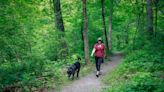 Water Works Park: Where paths less traveled can revive weary souls