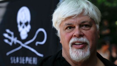 Veteran anti-whaling activist Paul Watson could be extradited to Japan after arrest in Greenland, his foundation says