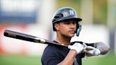 Yankees prospect Everson Pereira done for season after playing through elbow injury