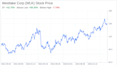 Decoding Westlake Corp (WLK): A Strategic SWOT Insight