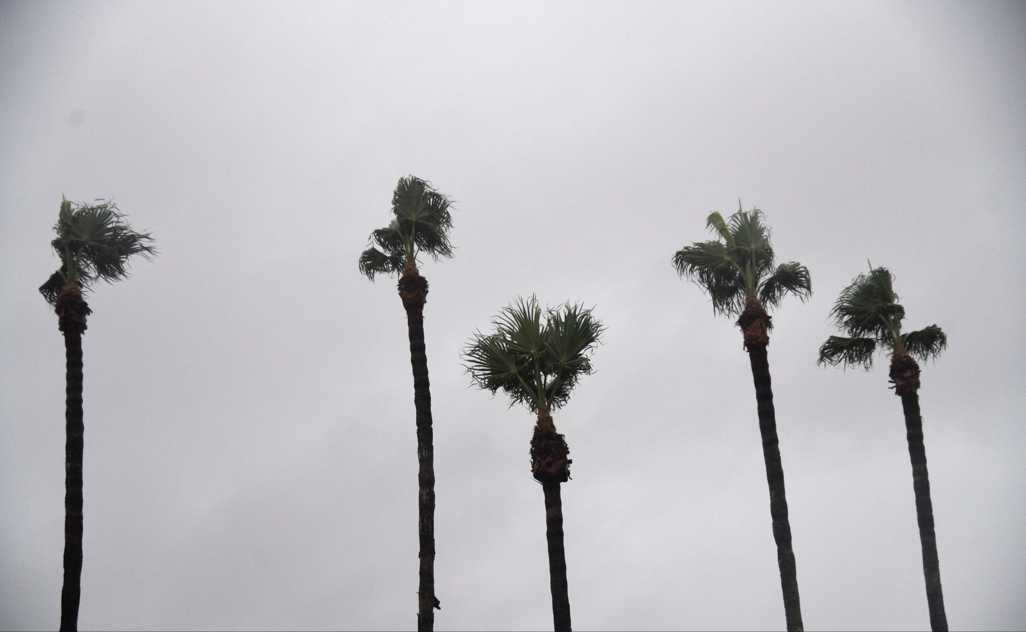 Hurricane Beryl: Live updates for the Coastal Bend and Corpus Christi