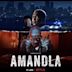 Amandla (film)