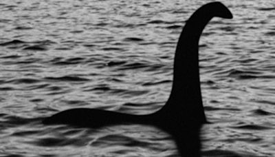 Loch Ness Monster attack insurance listed among strangest policies ever taken out