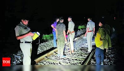 Lion killed by speeding passenger train near Liliya | Rajkot News - Times of India