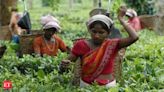 India's tea prices soar as extreme weather slashes output - The Economic Times