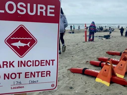 Stretch of California beach closed after shark bites man during group swim