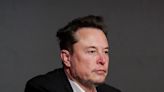 Another Tesla shareholder came out against Elon Musk's multibillion-dollar pay package, saying the billionaire should 'focus on going to Mars'