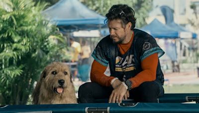 Is 'Arthur the King' a true story? The real history behind Mark Wahlberg's stray-dog movie