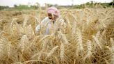 Govt to focus on job creation, farmers’ concerns in first 100 days: S&P Global Market Intelligence