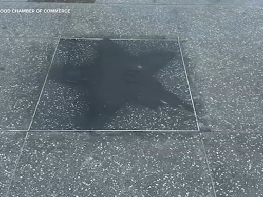 Jenni Rivera's star among 3 vandalized with black paint on Hollywood Walk of Fame